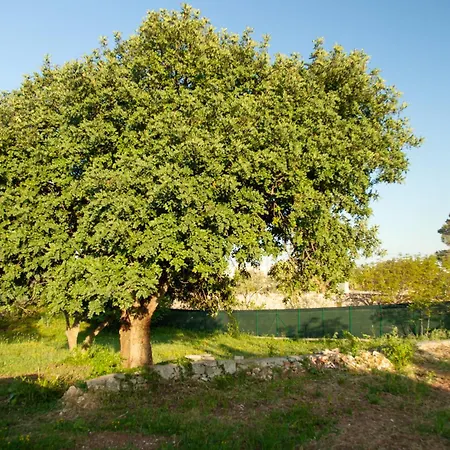 Archibianchi 36 Villa Martina Franca